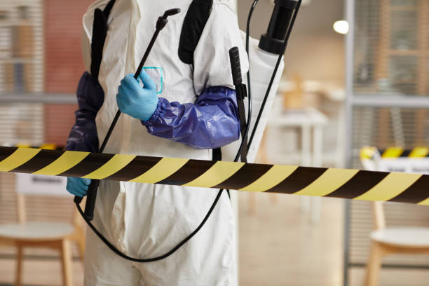 Professional Sewage Cleanup technician working in Cave Springs, AR